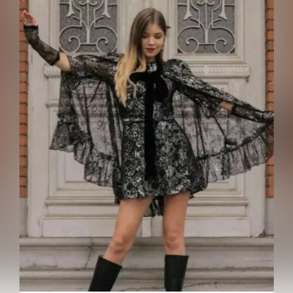 NWOT H&M X The Vampire’s Wife Mystique Black Lace Metallic Mini Dress Size: L… - Picture 6 of 16